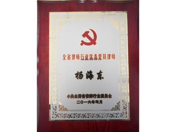 杨海东荣获全省律师行业优秀党员律师
